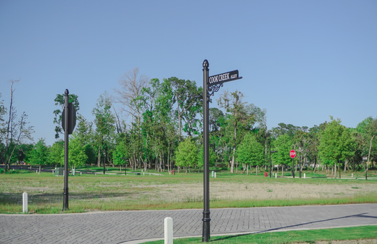 Airlie at Wrightsville Sound - Street and Lots