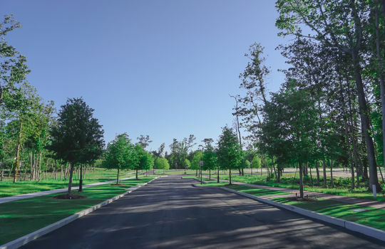 Airlie at Wrightsville Sound - Street and Lots