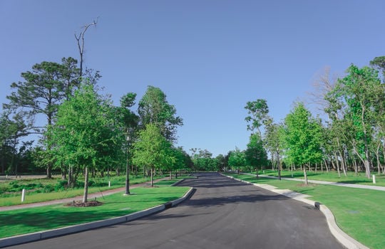 Airlie at Wrightsville Sound - Street and Lots