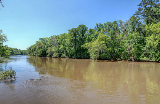 The Bluffs on the Cape Fear