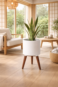 Japandi Style Planter