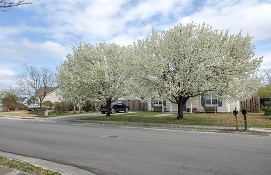 Meadowbrook - Example Homes