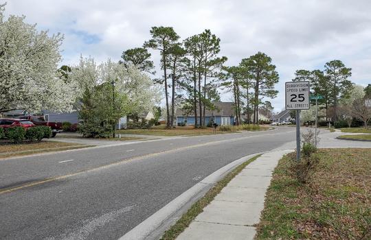 Meadowbrook - Example Homes