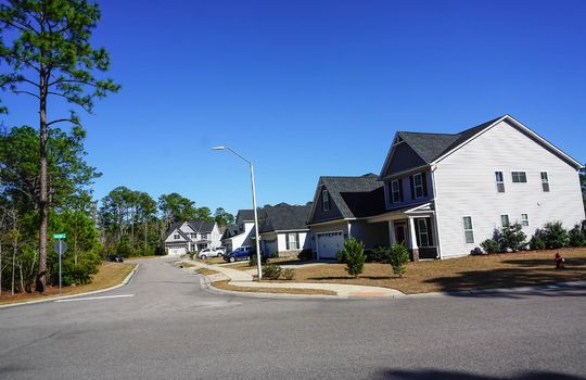 Street of homes in The Creek at Willowick