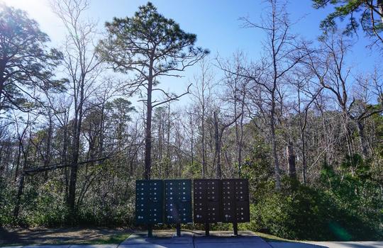 Black mailboxes in The Creek at Willowick