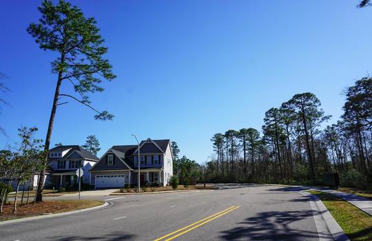 Street of homes in The Creek at Willowick
