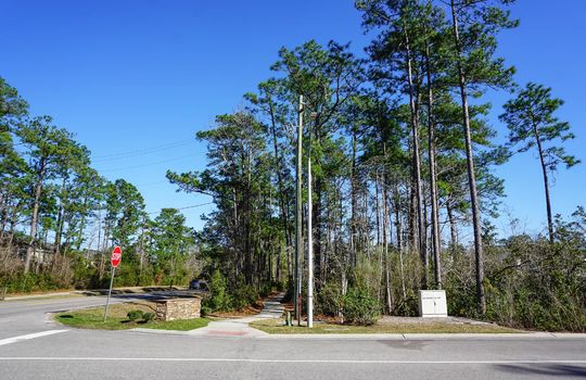 Street in The Creek at Willowick