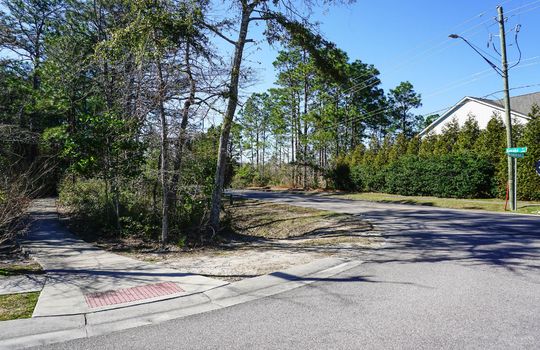 Street in The Creek at Willowick