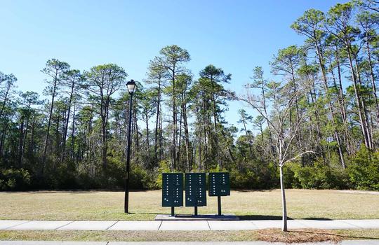 Black mailboxes in The Park at Willowick