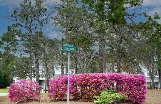 Example townhomes with light vinyl siding, street signs, and pink azaleas