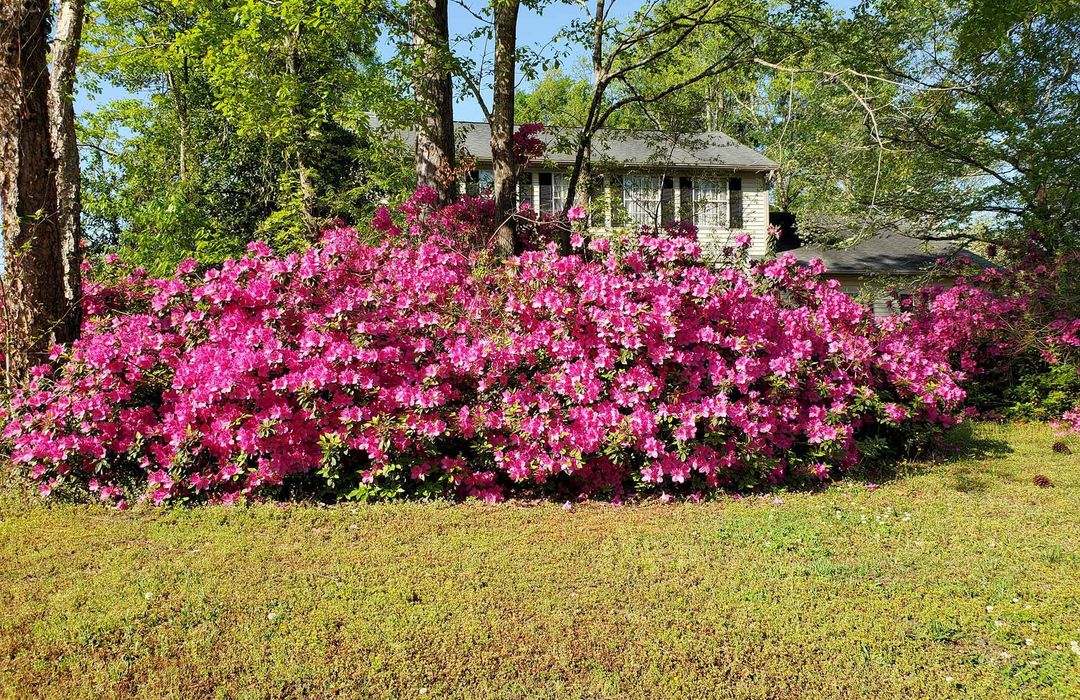 Brittany Woods Homes for Sale in Wilmington, NC The Cameron Team