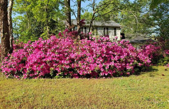 Brittany Woods - Example Homes