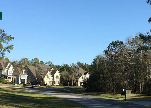 Mimosa-Bay