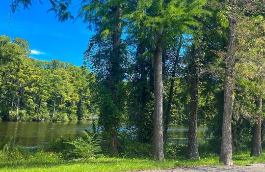 Greenfield Lake, Wilmington, NC