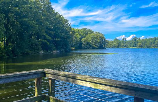 Greenfield Lake, Wilmington, NC