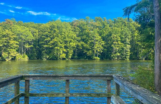 Greenfield Lake, Wilmington, NC