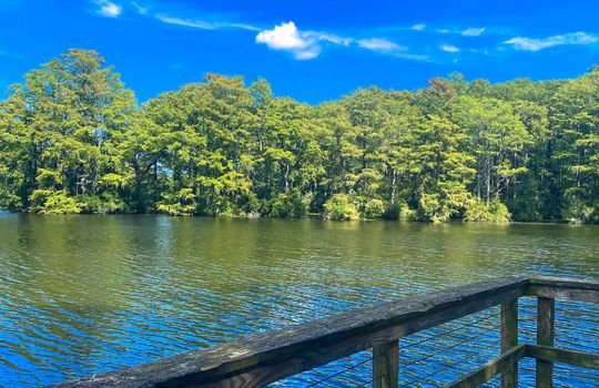 Greenfield Lake, Wilmington, NC