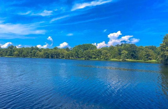 Greenfield Lake, Wilmington, NC