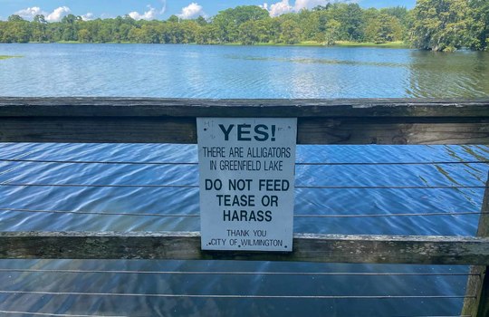 Greenfield Lake, Wilmington, NC