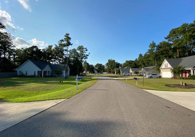 The Knolls at Turkey Creek - Streetscape