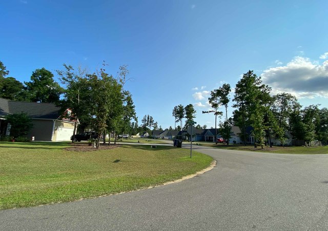 The Knolls at Turkey Creek - Streetscape