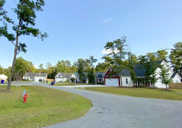 The Knolls at Turkey Creek - Streetscape