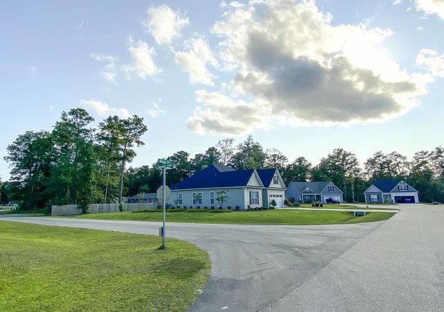 The Knolls at Turkey Creek - Streetscape