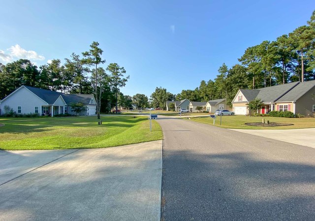 The Knolls at Turkey Creek - Streetscape