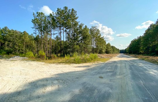 Wanet Landing - Streetscape