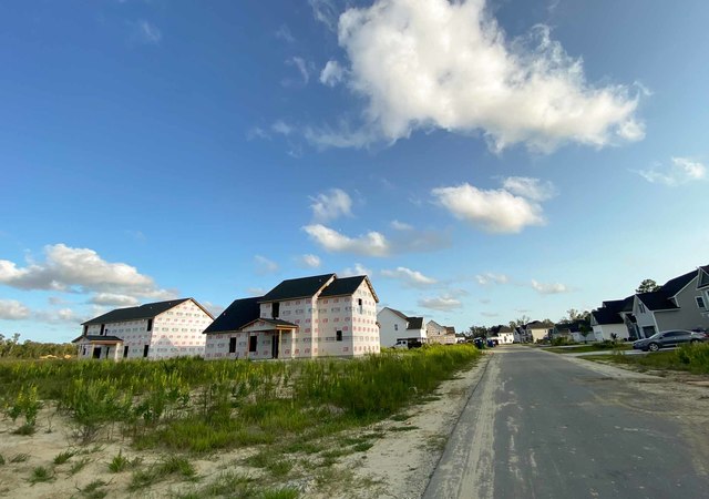 Wylie Branch - Streetscape