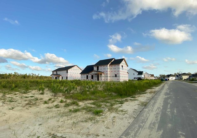 Wylie Branch - Streetscape