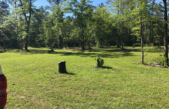 Lot 2C Hwy 210 NC &#8211; Cleared Land 3