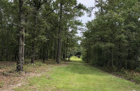Lot 2C Hwy 210 NC &#8211; Cleared Land 4