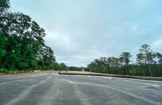 Winding Marsh - Road and Lots