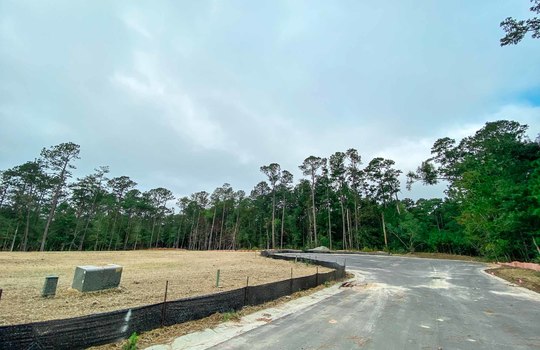 Winding Marsh - Road and Lots