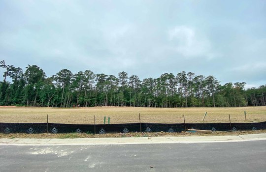 Winding Marsh - Road and Lots