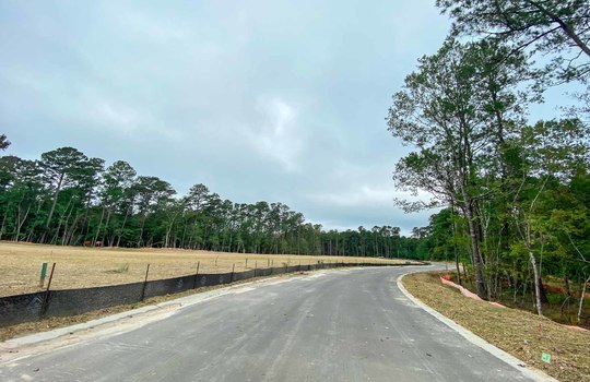Winding Marsh - Road and Lots