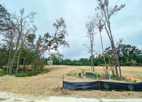 Winding Marsh - Road and Lots