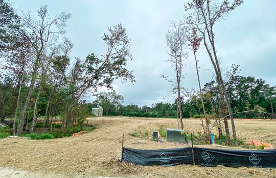 Winding Marsh - Road and Lots