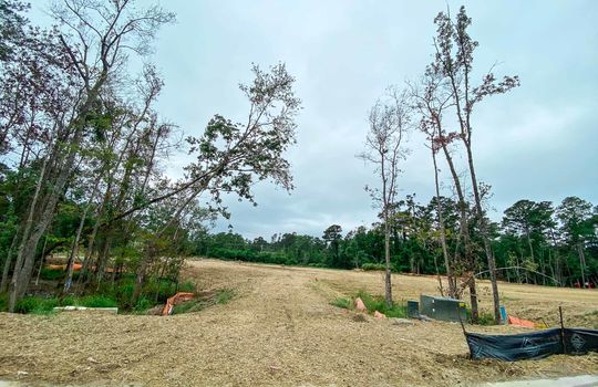 Winding Marsh - Road and Lots