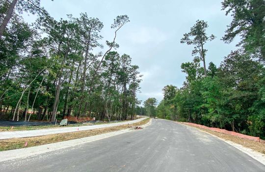 Winding Marsh - Road and Lots