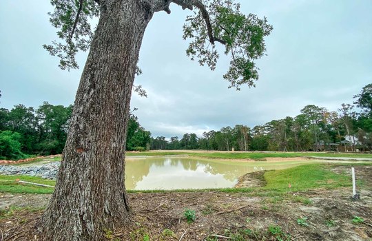Winding Marsh - Pond