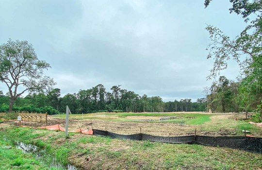 Winding Marsh - Road and Lots
