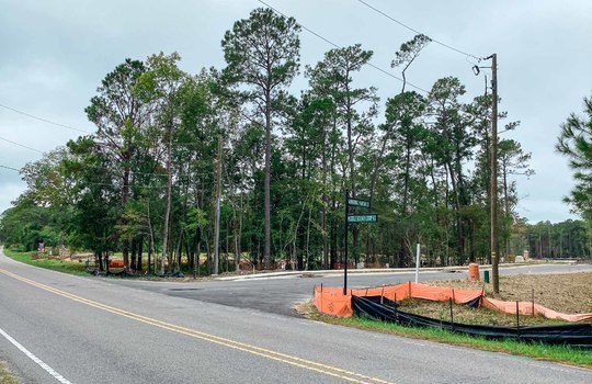 Winding Marsh - Road and Lots