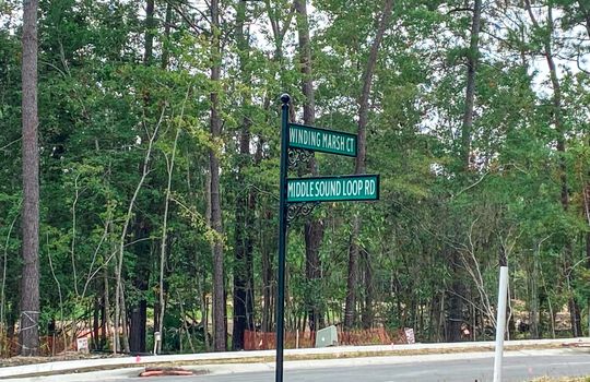 Winding Marsh - Road and Lots