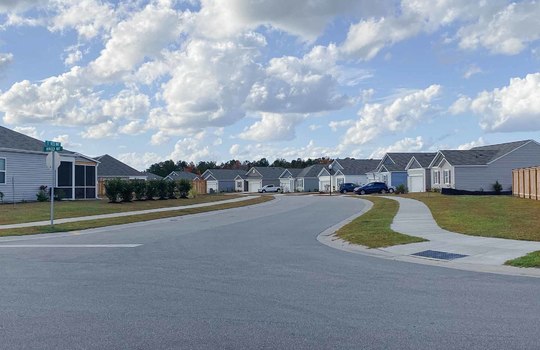 The Forest - Mallory Creek Plantation