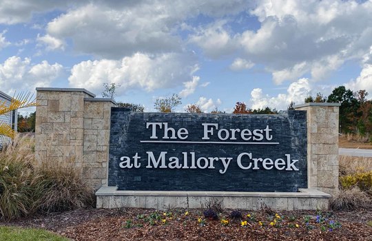 The Forest - Mallory Creek Plantation