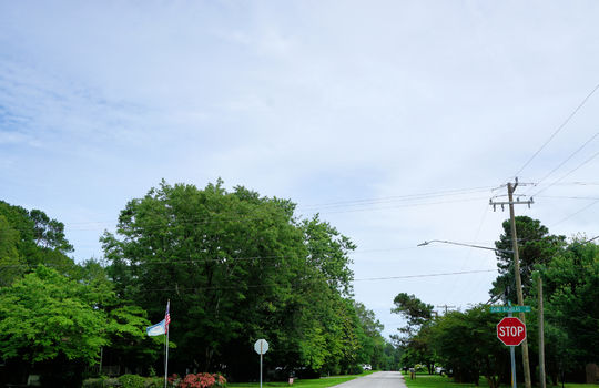 Green Meadows - Example Streetscape