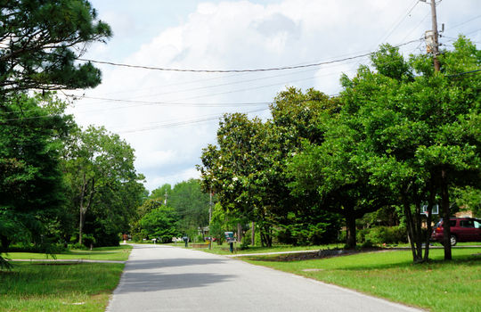 Green Meadows - Example Streetscape