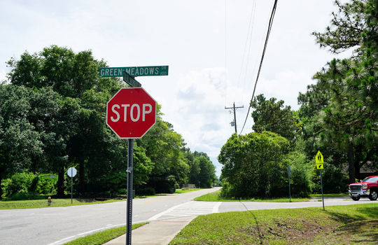 Green Meadows - Example Streetscape